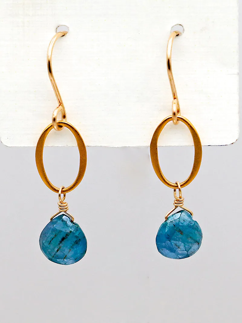 Susan Rifkin Kyanite Teardrop Earrings | 14k Gold Filled